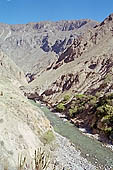 Colca Canyon